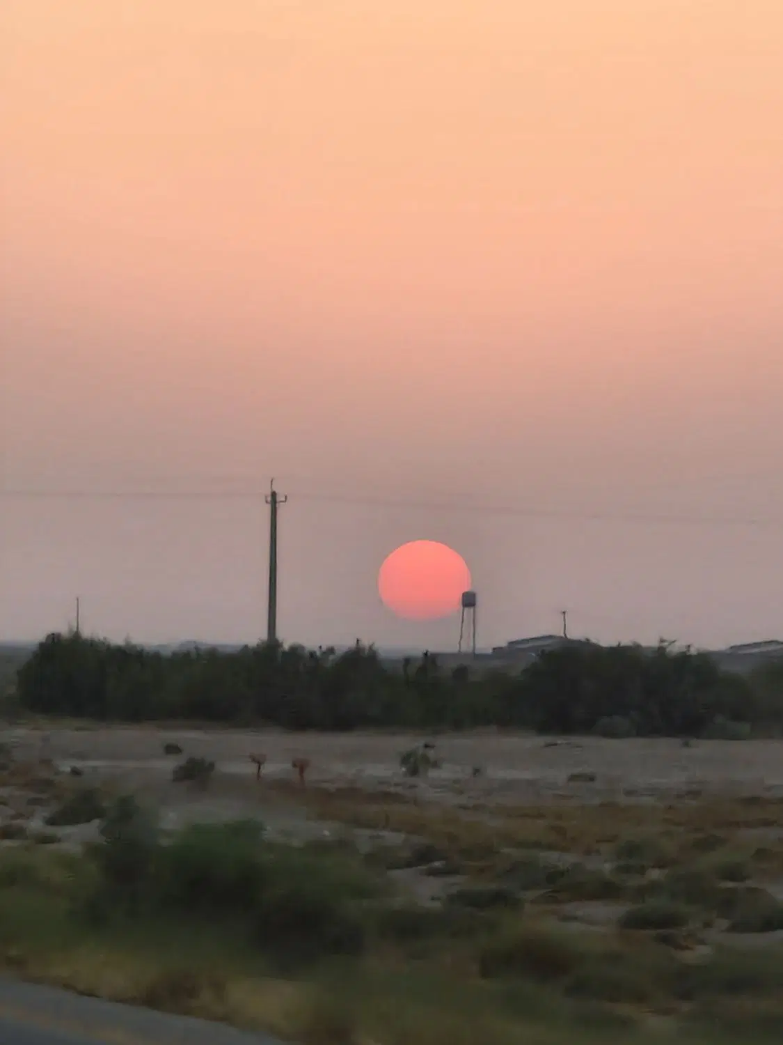 زمین ۳۰۰متری تپه آفتابگردان