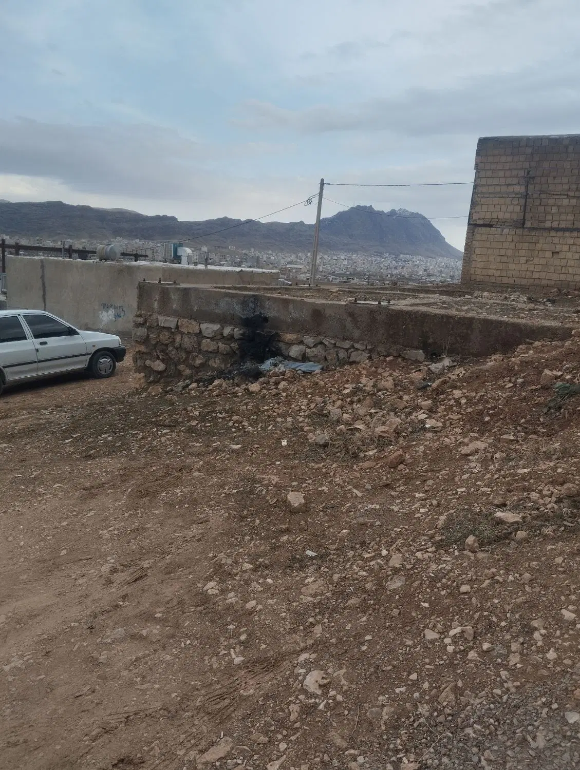 زمین پاپی خالدار