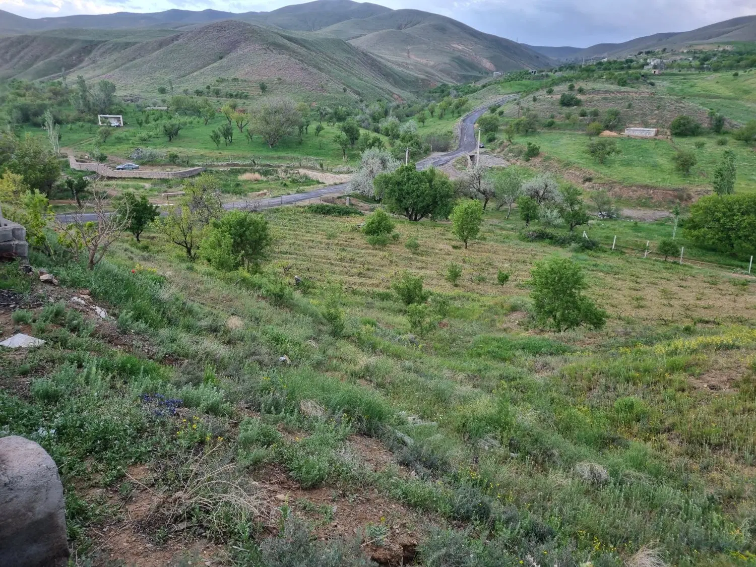 باغ 3600 متر سند تک برگ