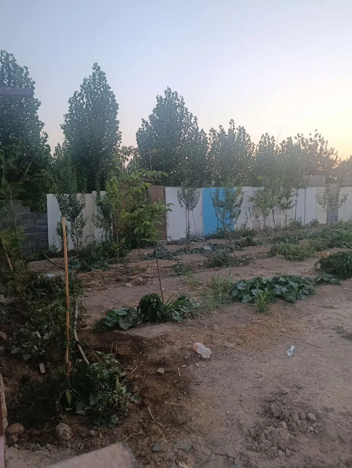 زمین جهت سرمایه گذاری باسند