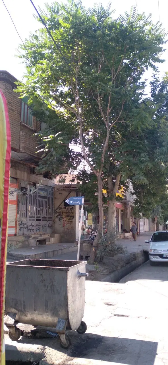 مغازه