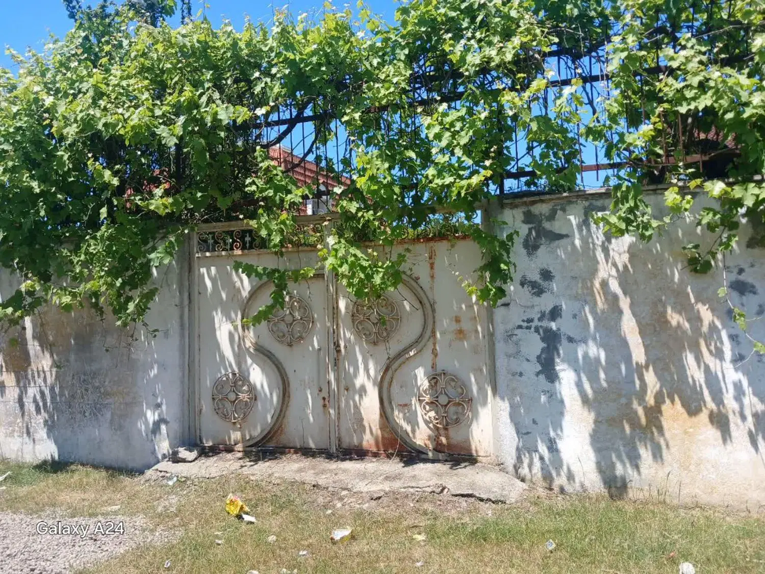زمین چهاردیواری سند شش دنگ بابلسر