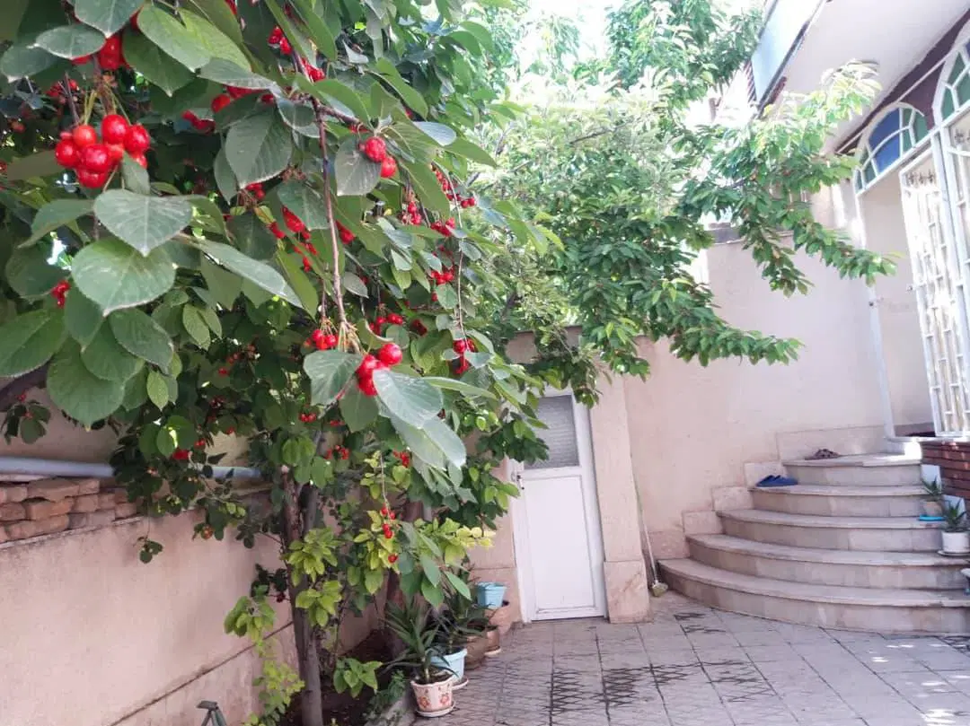 ویلای دربستی
