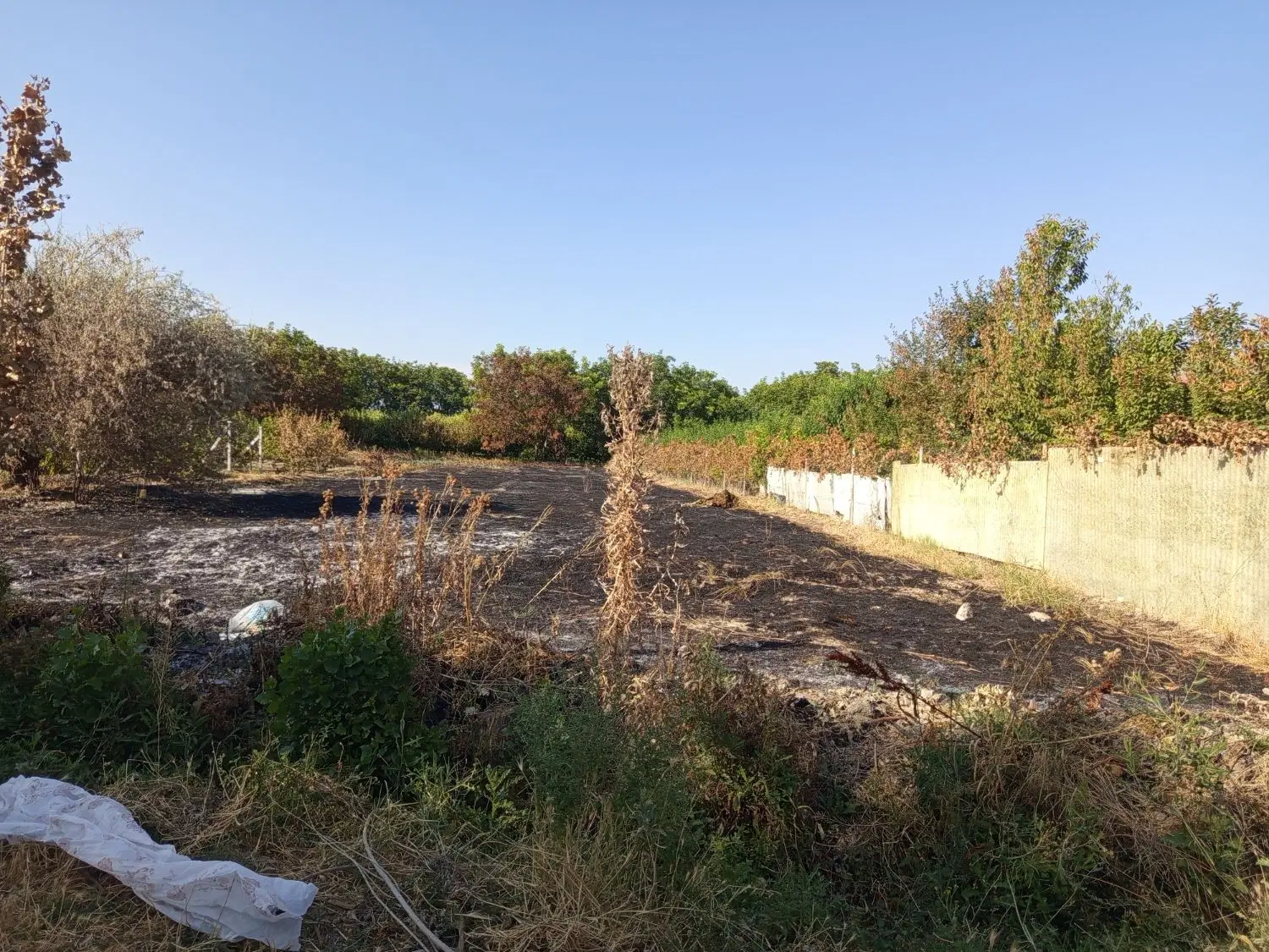 زمین مسکونی در روستای چیچکلوی حاج آقا