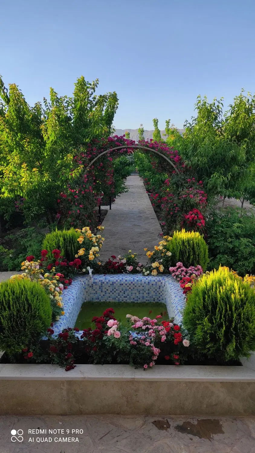 زمین طرحچی خین عرب