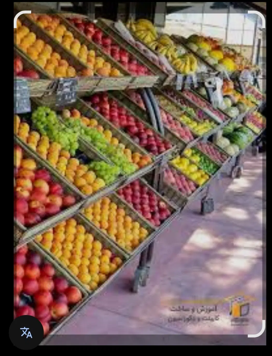 مغازه 20متری میوه و سبزیجات