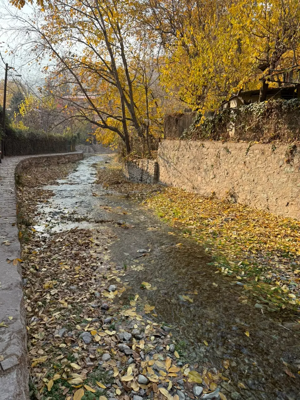 زمین در منطقه سرخون
