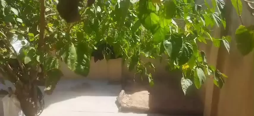 فروش ملک زمینی واقع در مبارزان دوبر
