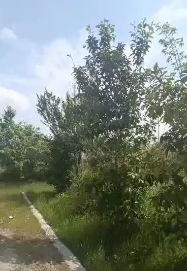 ویلای نزدیک به شهر