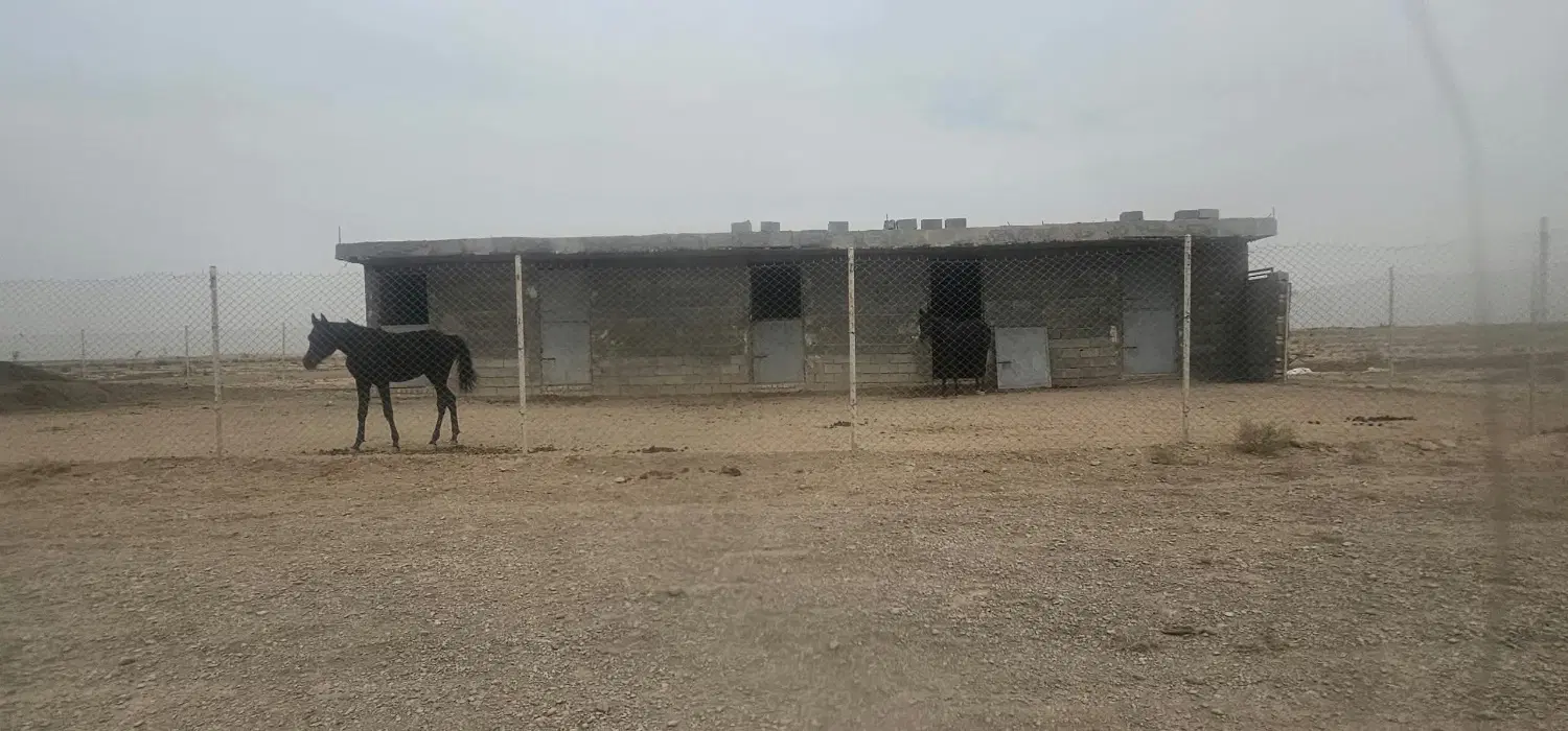 فروش زمین باغی جهت سرمایه گذاری وتفریح