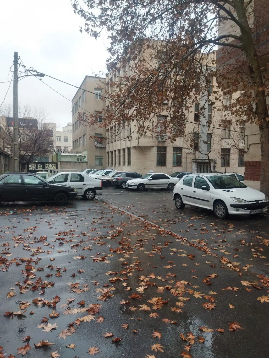 کلنگی۹۰متری_مناسب سکونت_سرمایه گذاری