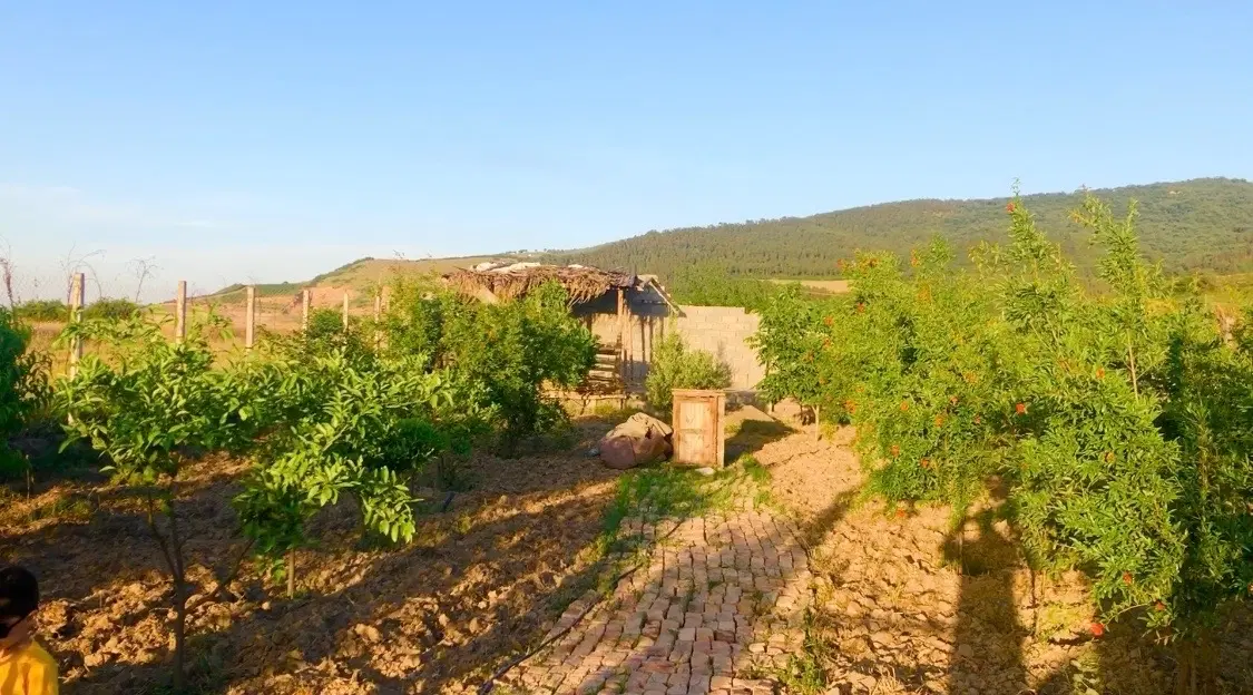 باغچه ۴۰۰ متری در باغ گلبن