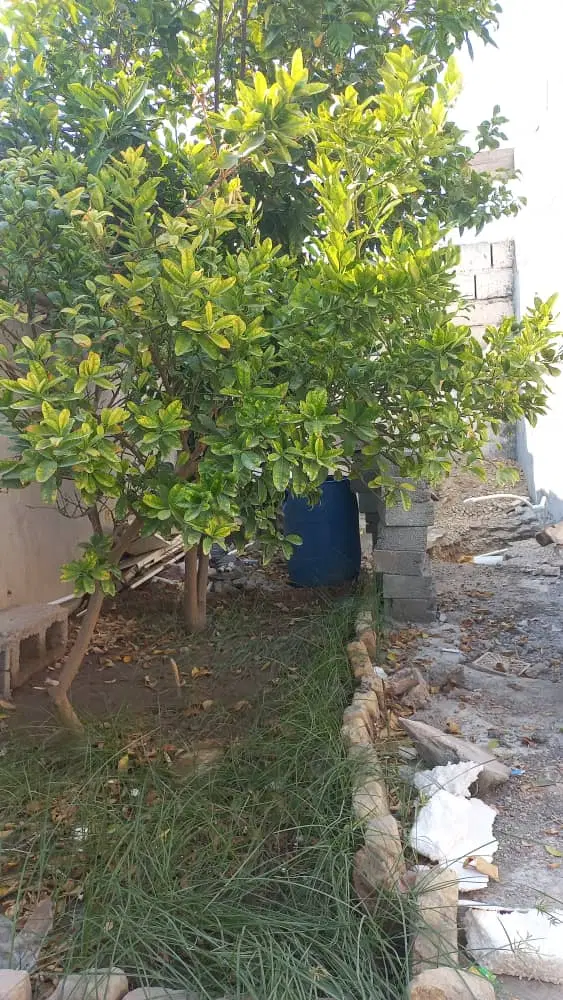 خانه ۱۳۳متری