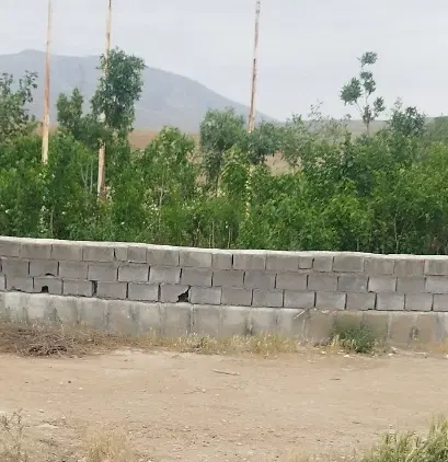 ۶۰۰ متر باغ فروشی سند تک برگ -انتهای خیابان طالقان