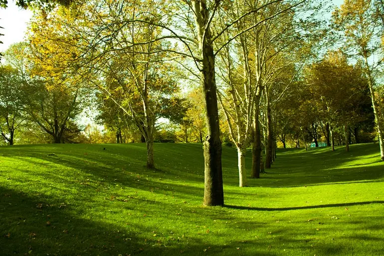 فرصت استثنایی خرید در خوشنام