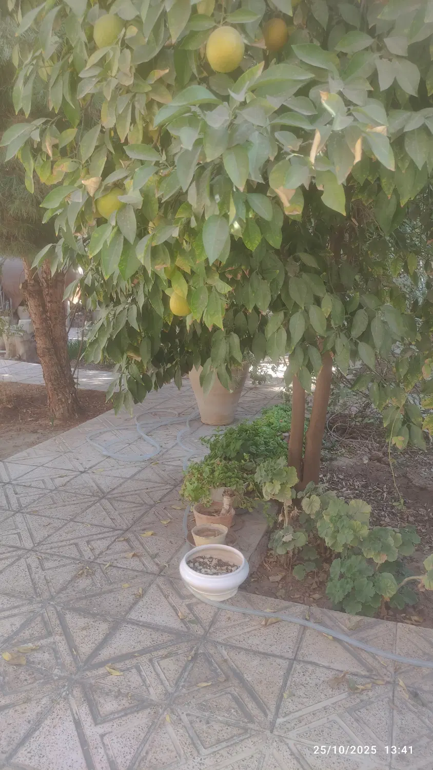 آپارتمان طهماسب آباد روبروی ساختمان پزشکان متخصص