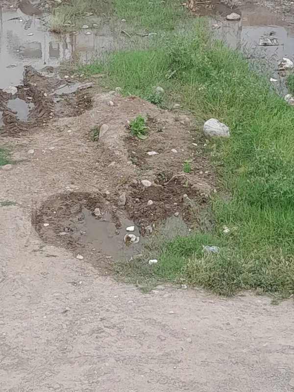 صد متری زمین فروشی