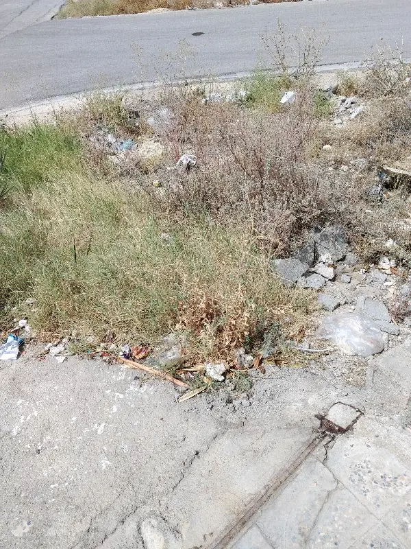 زمین مسکن ملی
