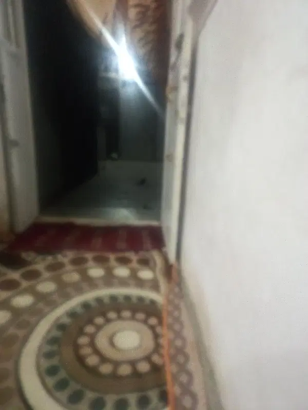 زمین میرحسینی ۱۳