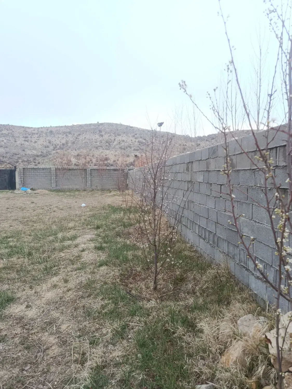 باغشهری خان زنیان