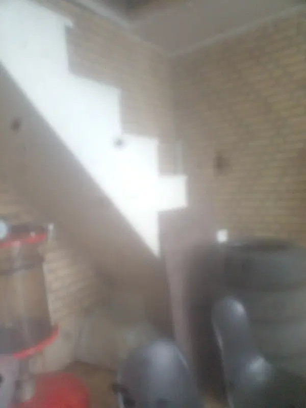 هم خانه میشم