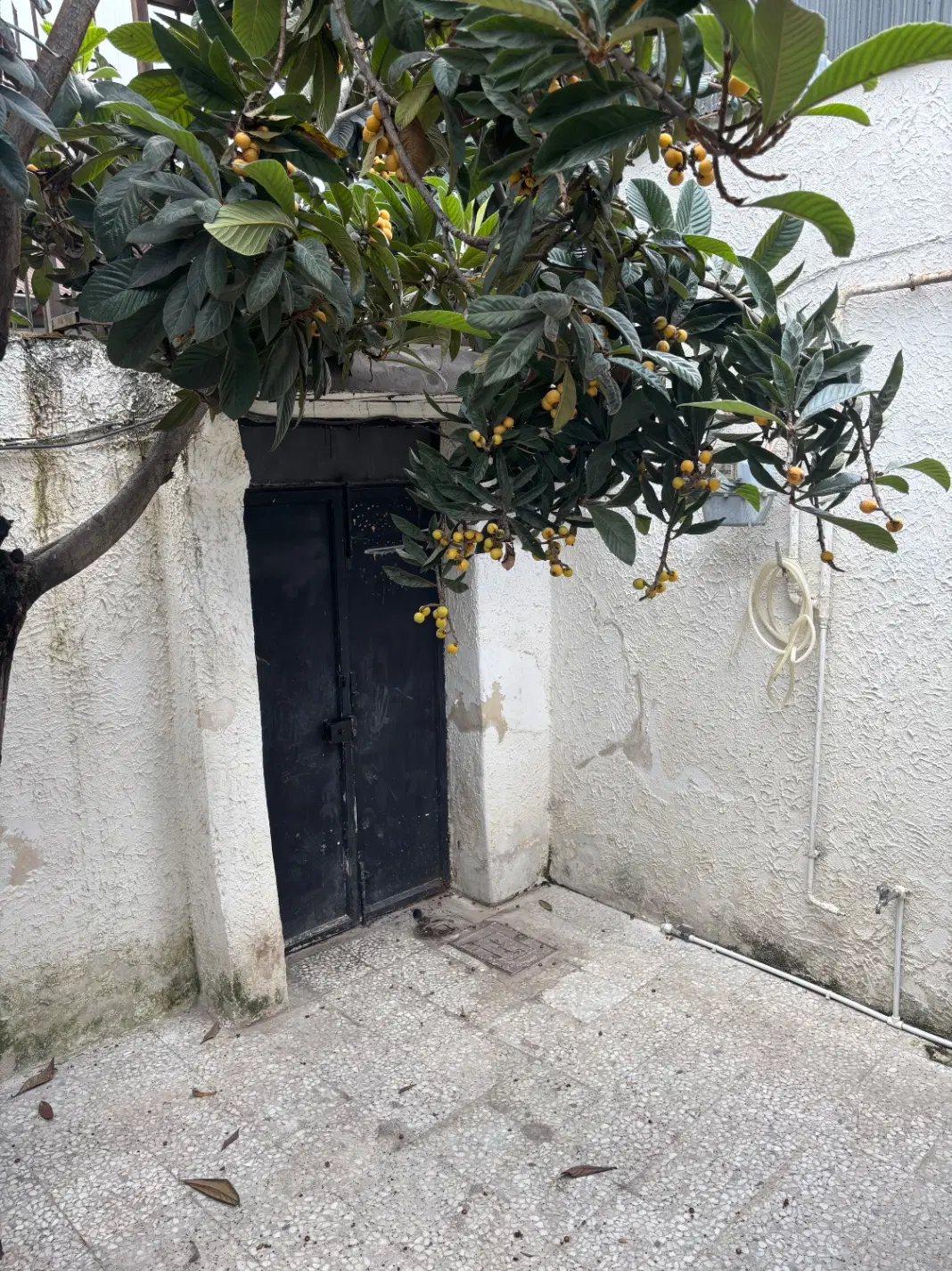 خانه ویلایی دباغیان