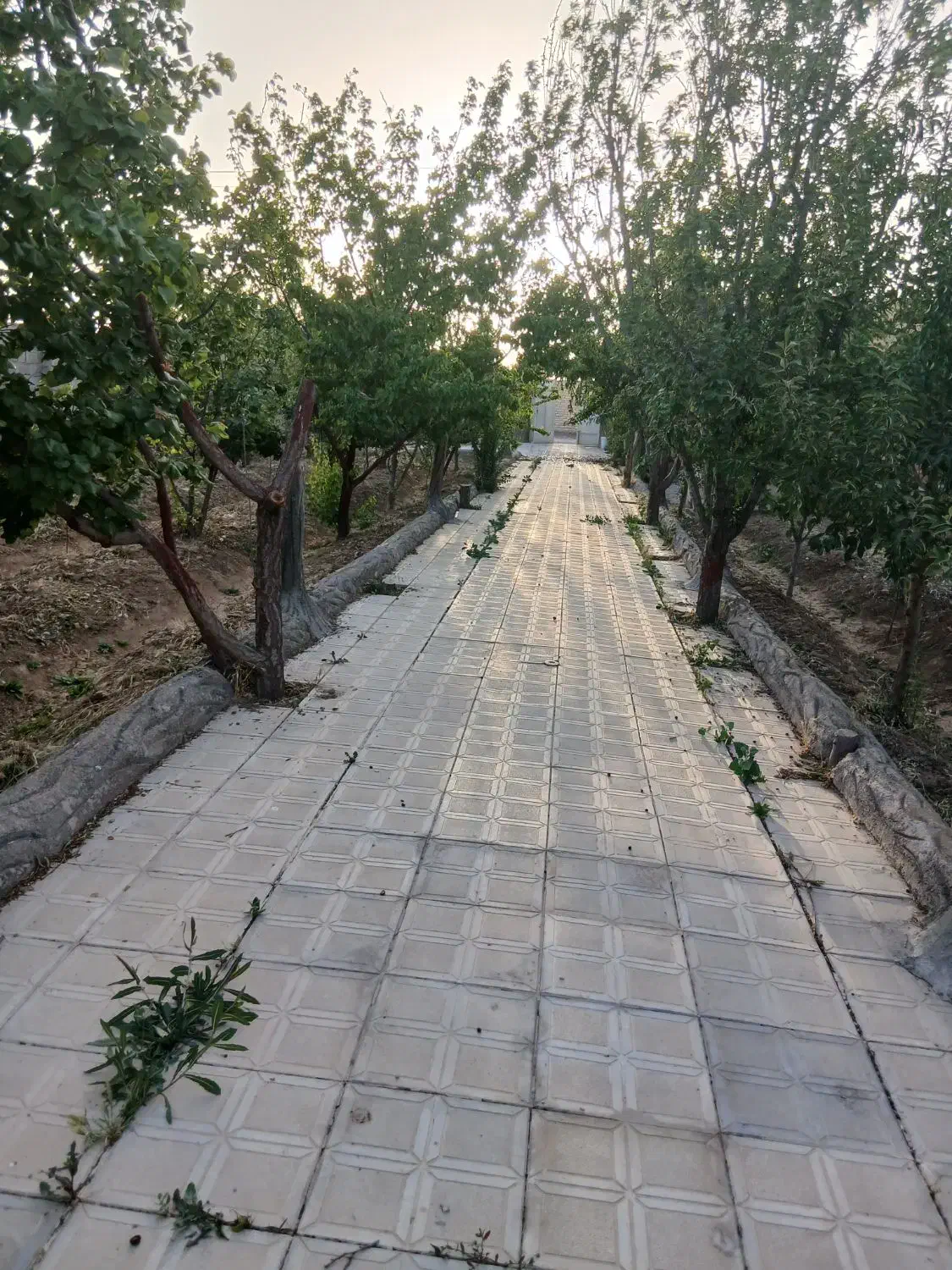باغ واقع درشهر زازران
