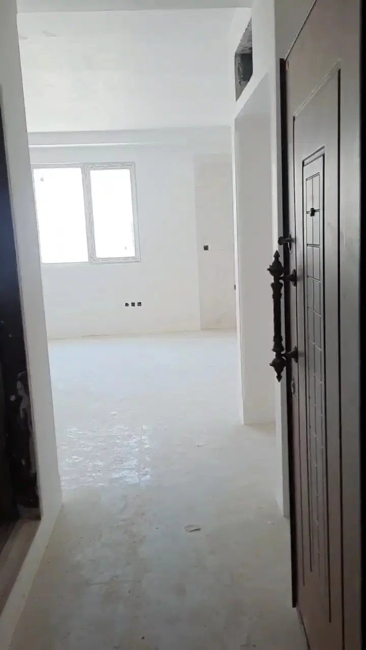 زیتون 31