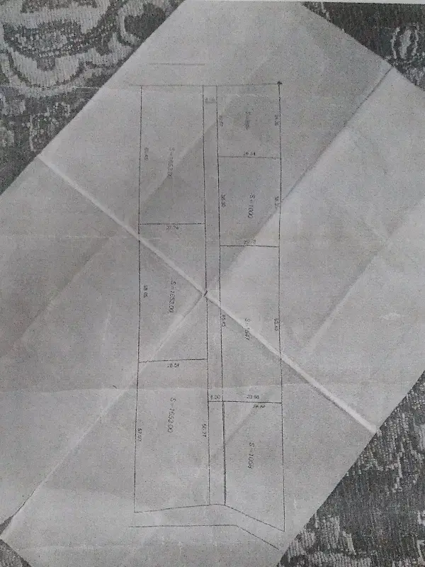 باغ میوه