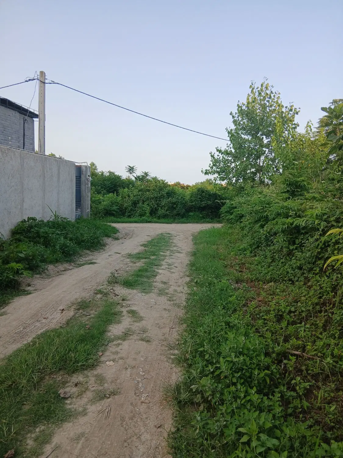 ۲۵۰مترزمین سنددار