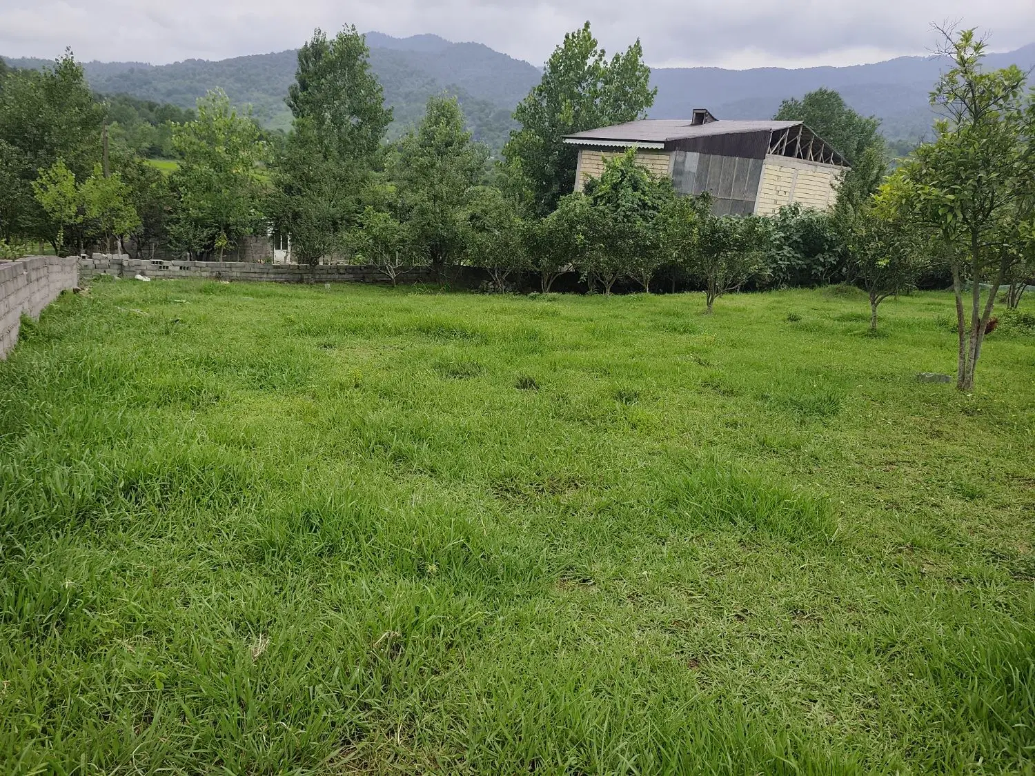 زمین مسکونی ۳۰۰ متر سند تک‌برگ