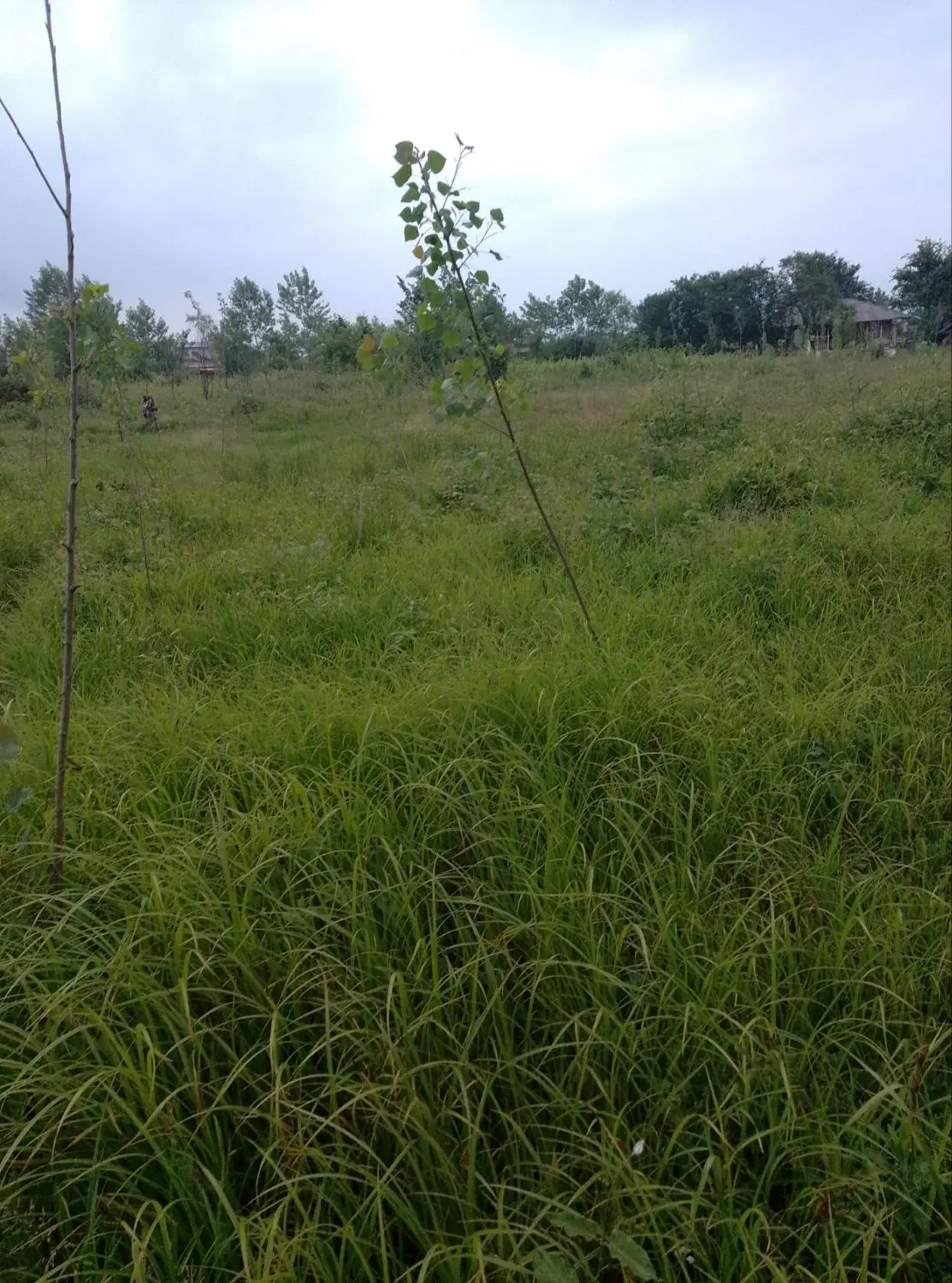 فروش زمین