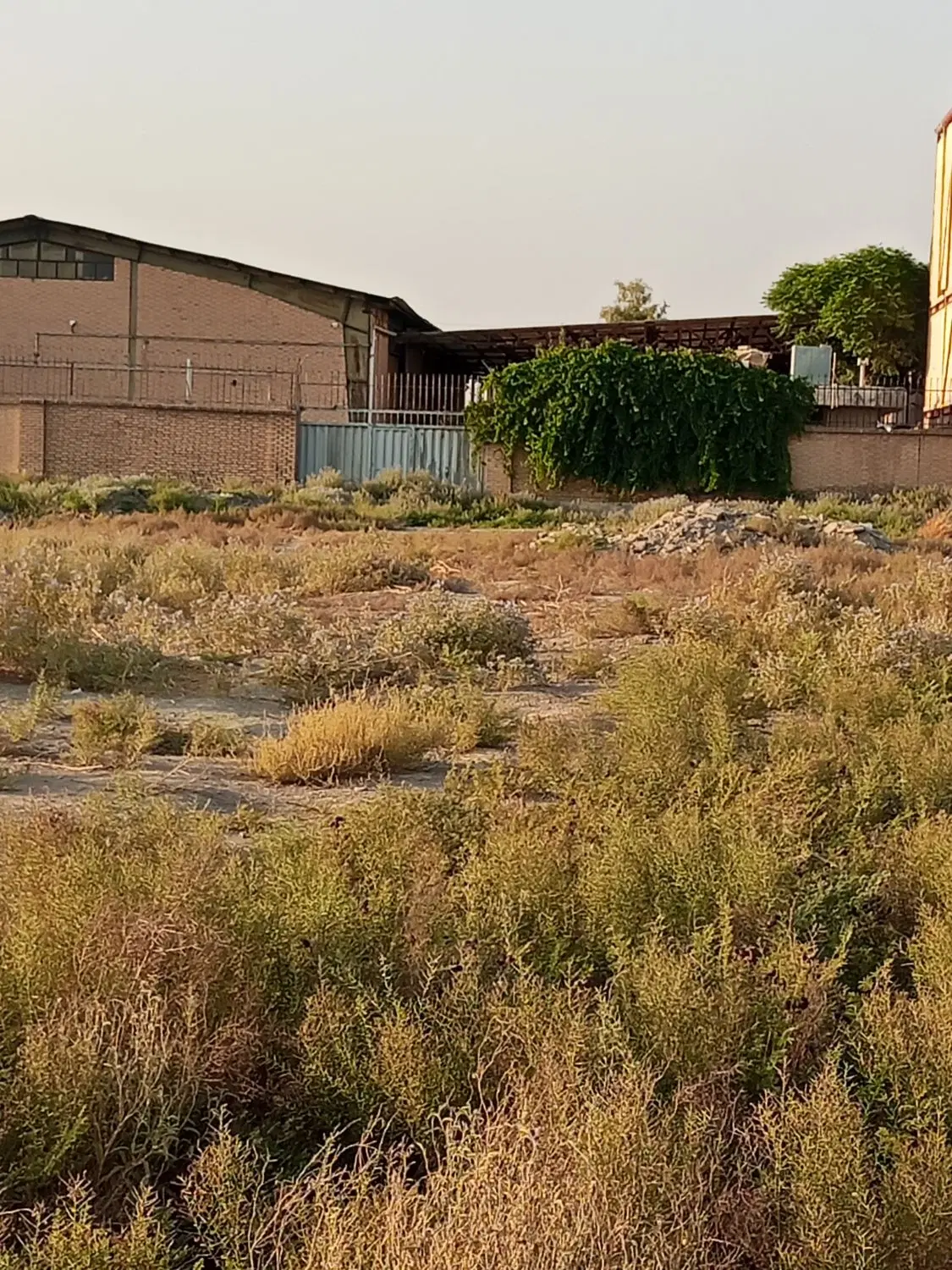 زمین فروشی دورمیدان عشقی