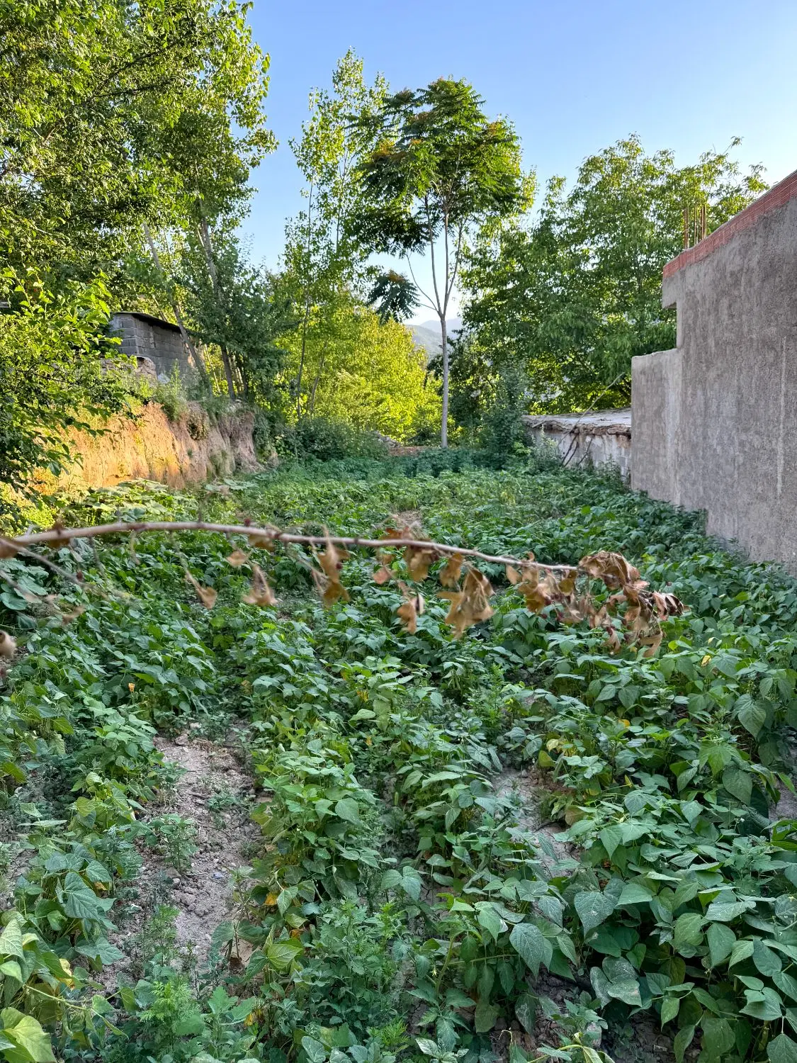 بیش از 210متر زمین مسکونی