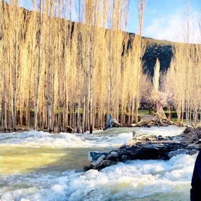 زمین کشاورزی