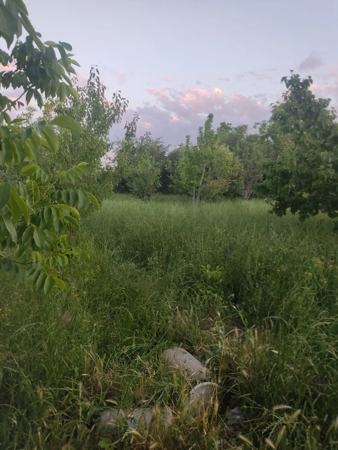 اگهی زمین ویلایی