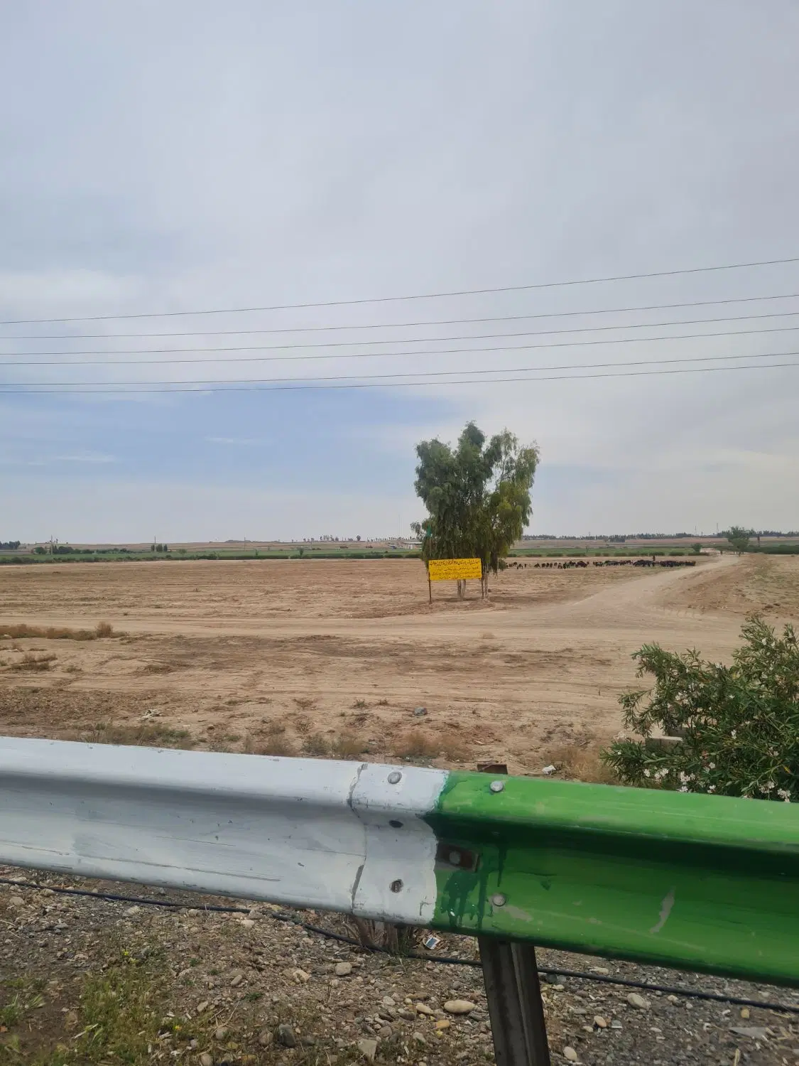 زمین سرمایه گذاری، شش دانگ، سند تک برگ