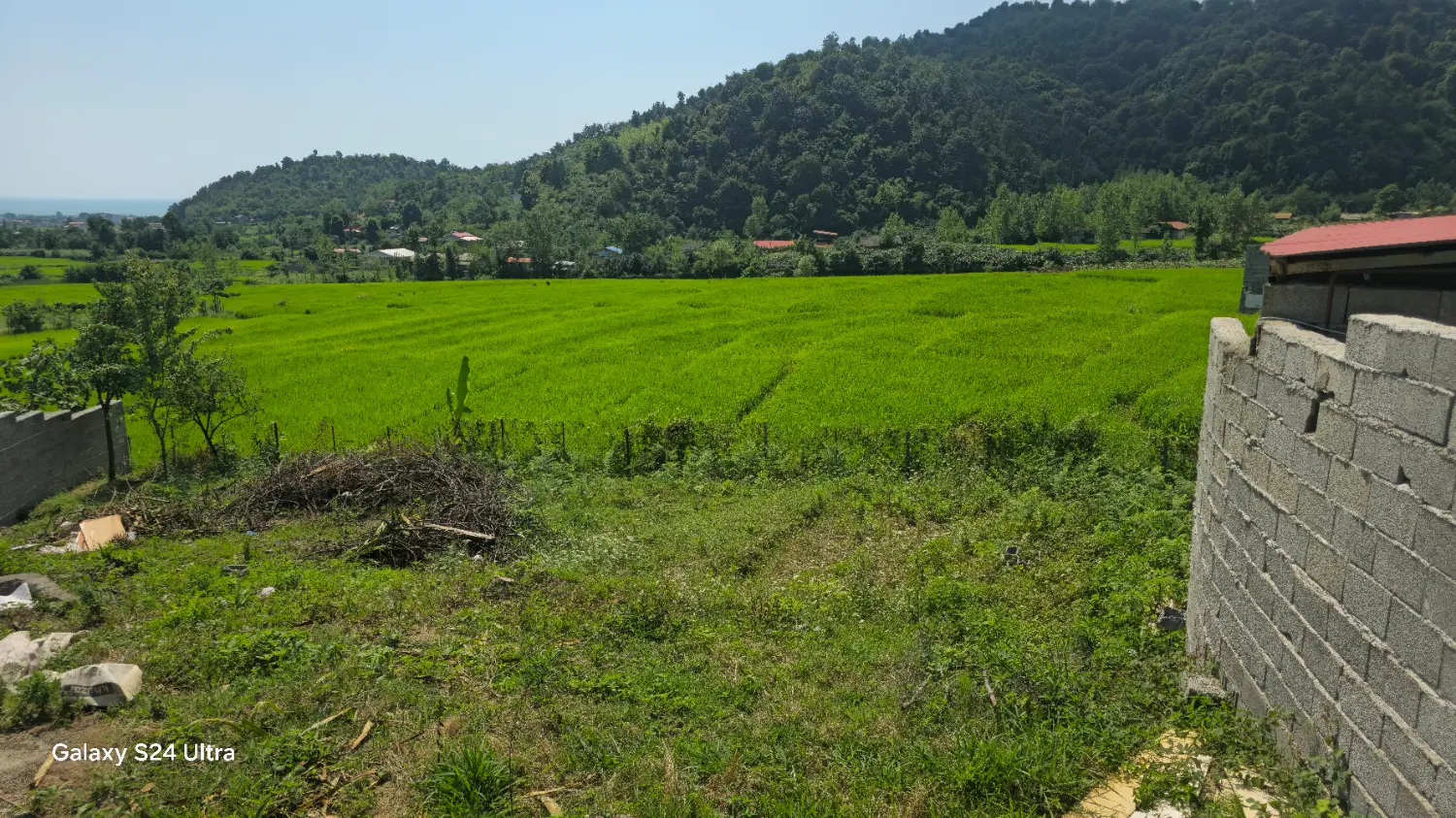 زمین ویلایی تالش