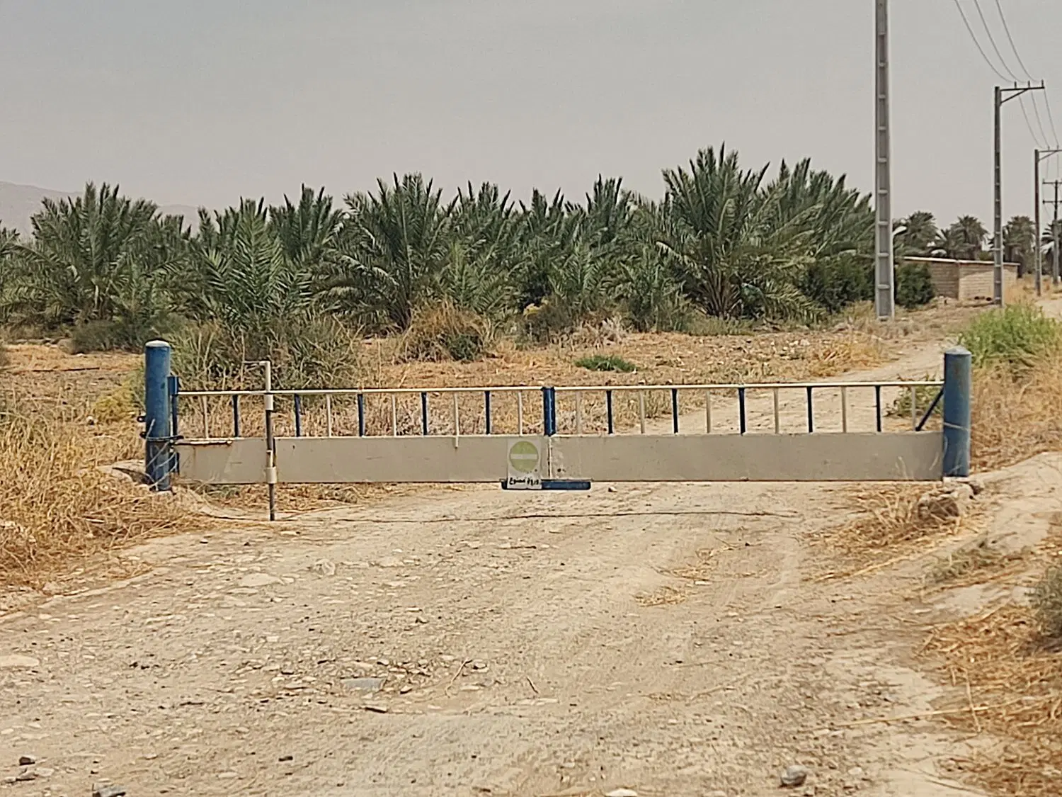 مشارکت در کار گل خانه