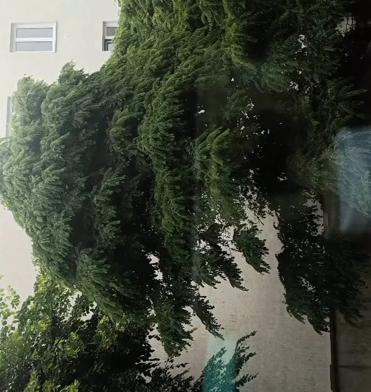 فروش خانه ویلایی