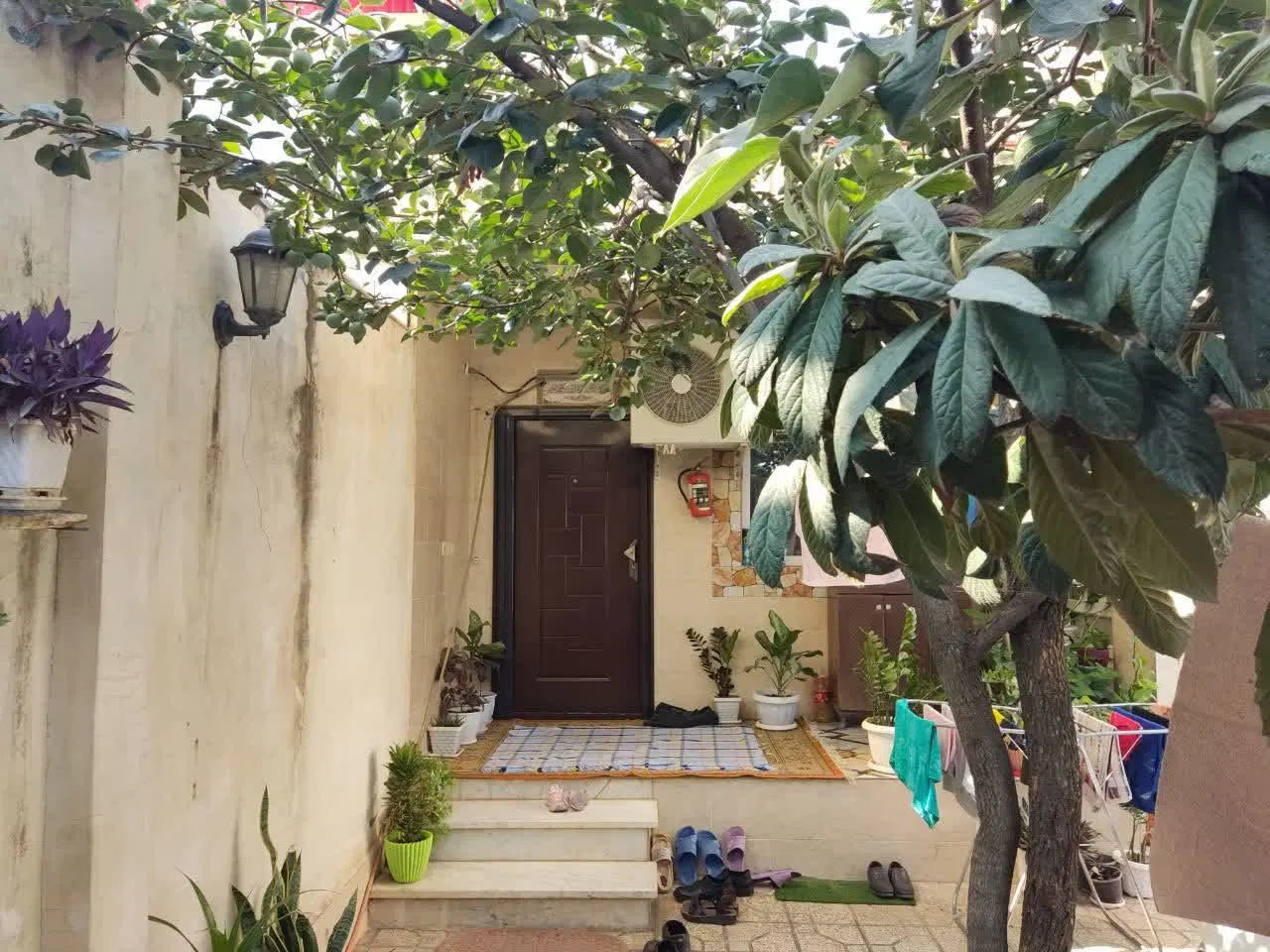 ویلایی ، معلم ۱۲