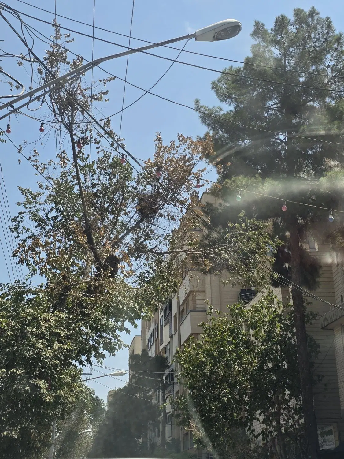 معاوضه کیش با اصفهان
