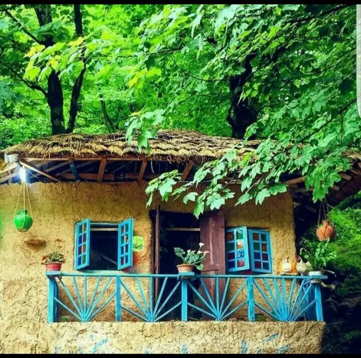 هم خونه