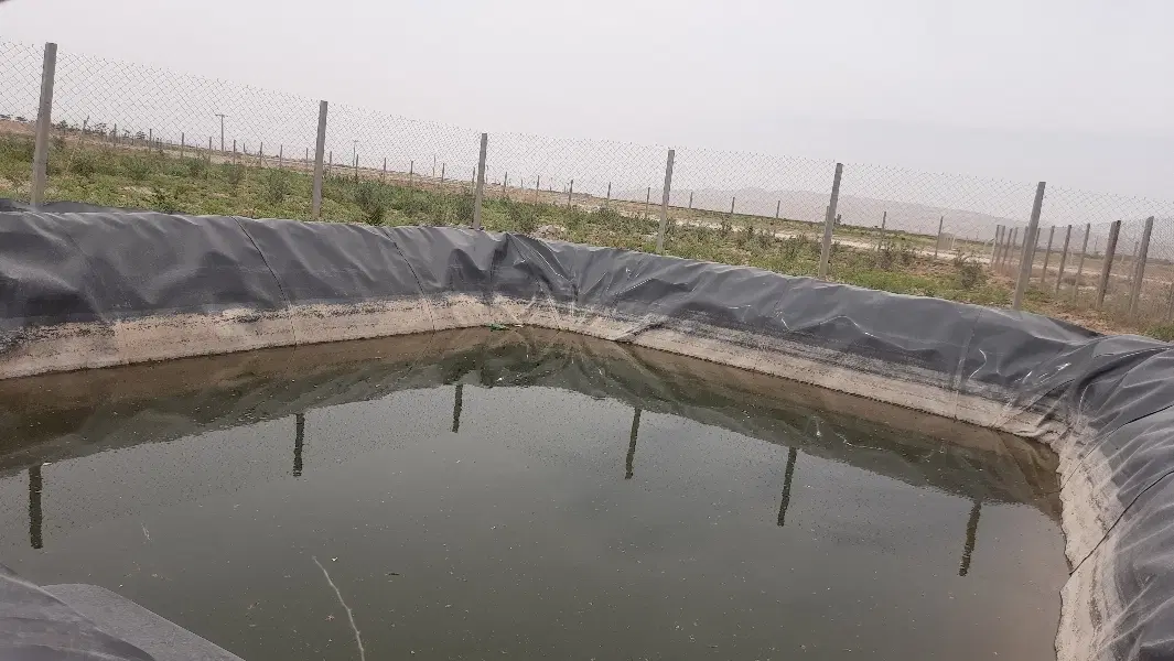زمین باغی