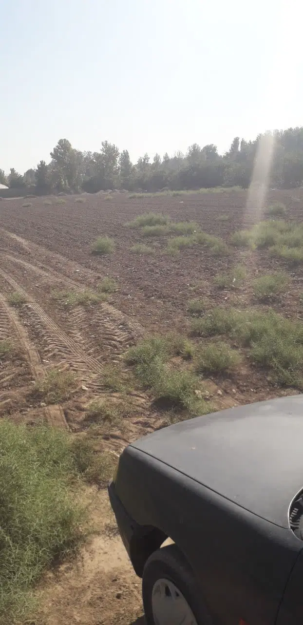 زمین کشاورزی