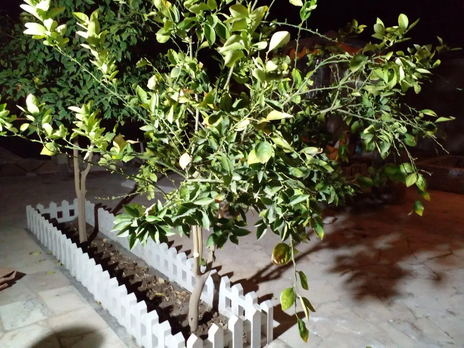 خانه باغ مسکونی
