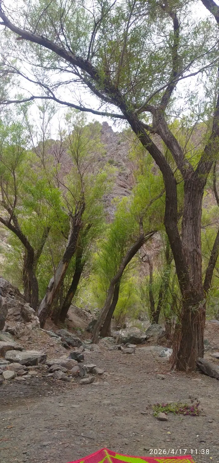 زمین داخل طرح حسین آباد و امیرآباد