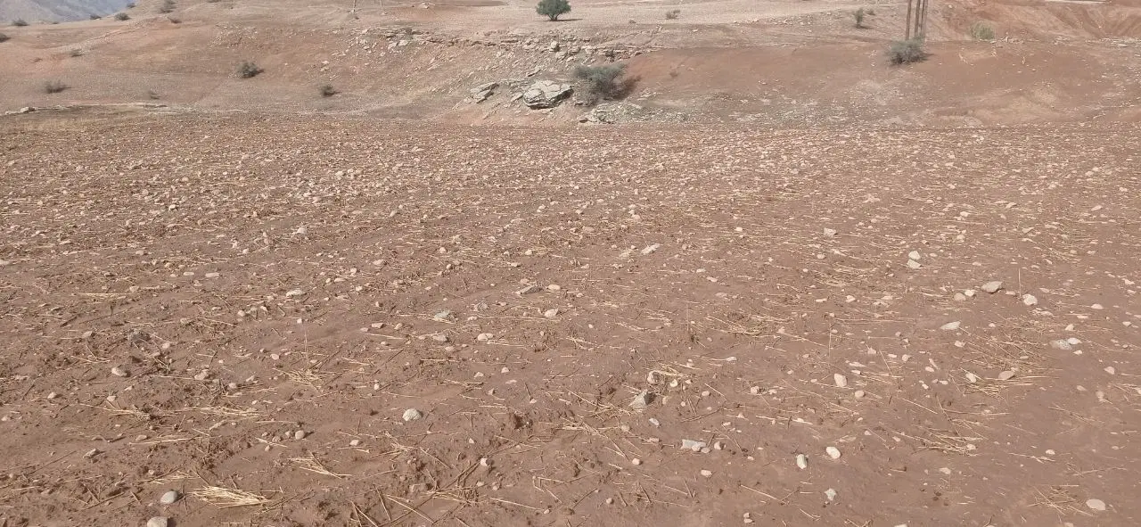 زمین گاوداری