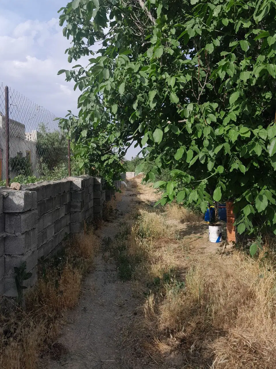 3000 متری باغی مرزیجران