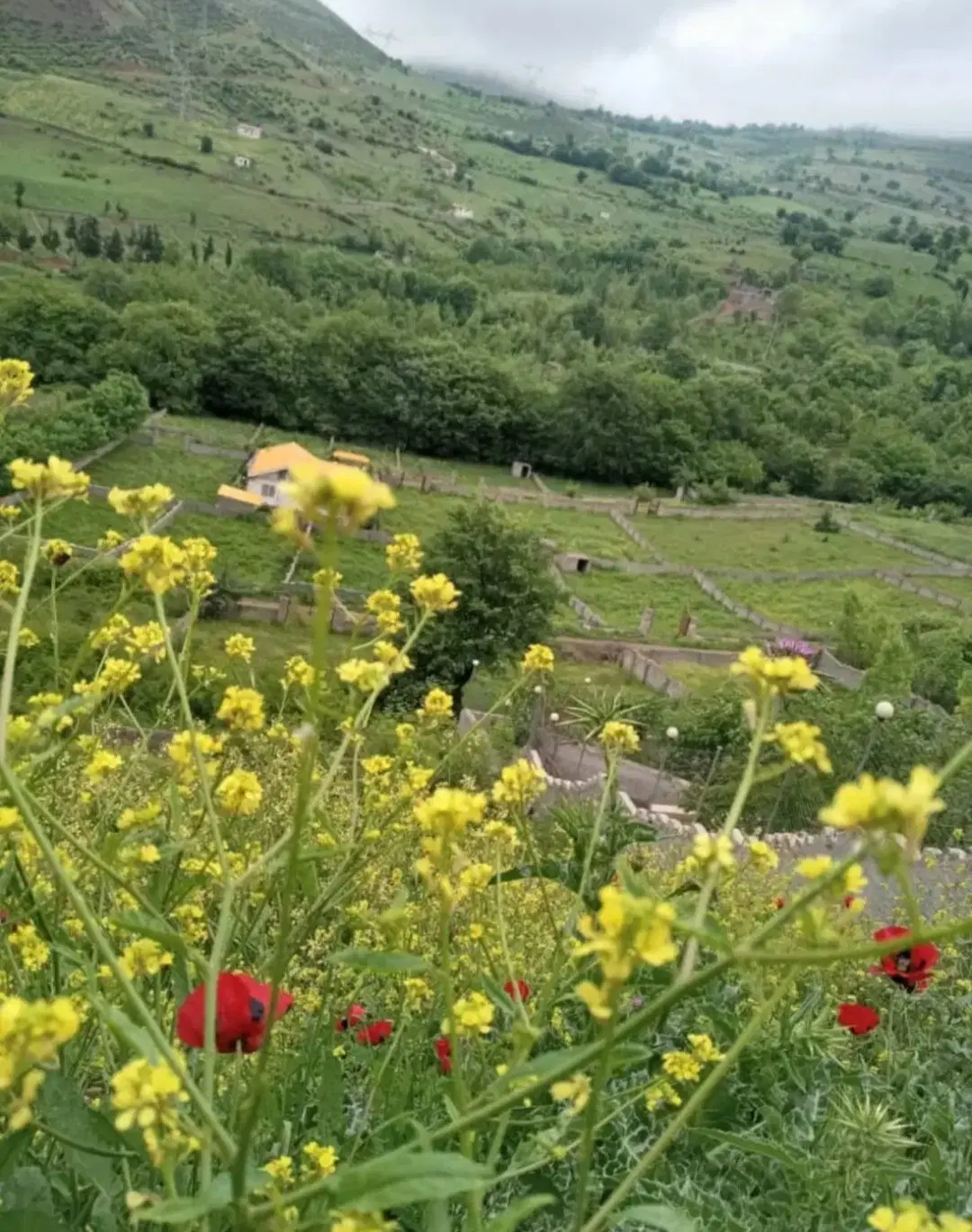 فروش زمین 650متر در روستای انگیل کجور